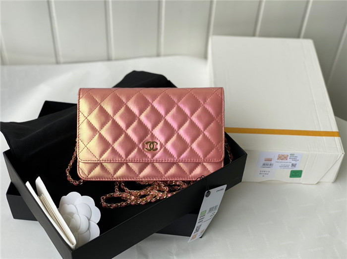 CHANEL 샤* WOC 19CM AS33698